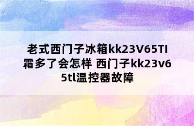 老式西门子冰箱kk23V65TI霜多了会怎样 西门子kk23v65tl温控器故障